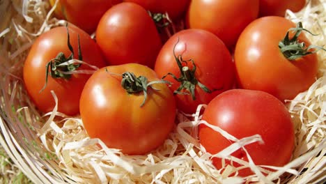 Primer-Plano-De-Tomates-Rojos