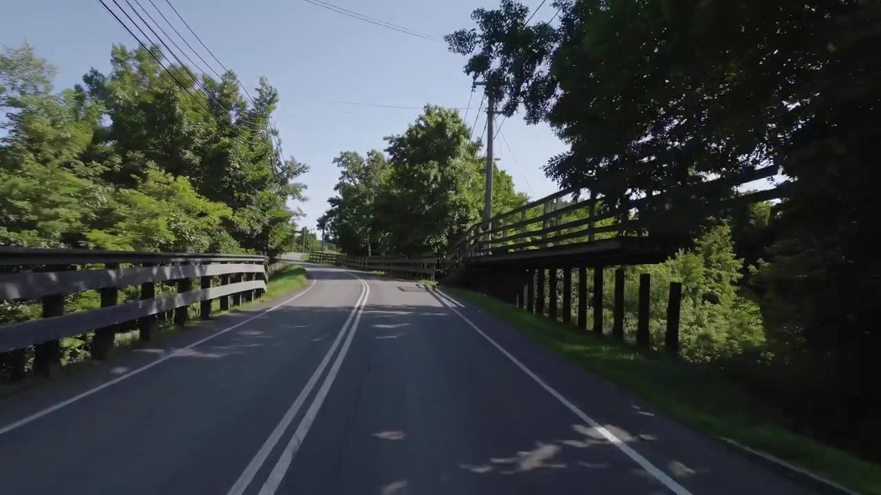 Conducción POV en una pintoresca carretera rural arbolada