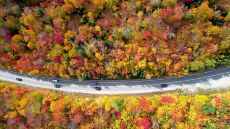 aerial view of scenic highway with cars driving and peak fall colors