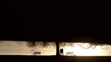 people spending time in urban park