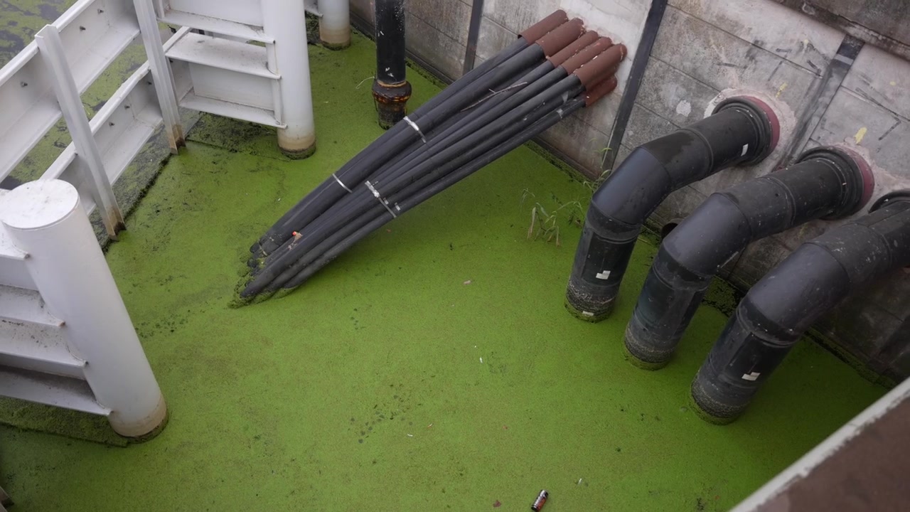 Polluted green stagnant water with algae and litter. Big industrial pipes in river