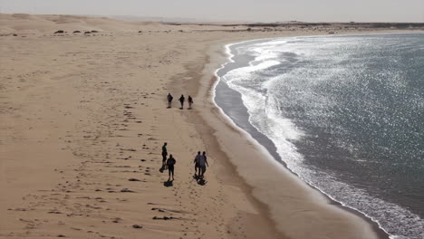 aerial shot of people walking along the shore of the naila lagoon in tarfaya, morocco.