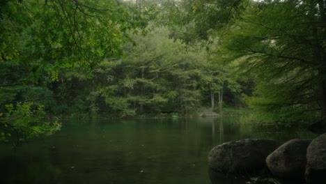 Mágico-Sereno-Bosque-Verde-Brumoso-Y-Agujero-Para-Nadar-En-Texas-Vista-Manual-De-Cámara-Lenta-De-La-Costa-Y-El-Lago-En-4k