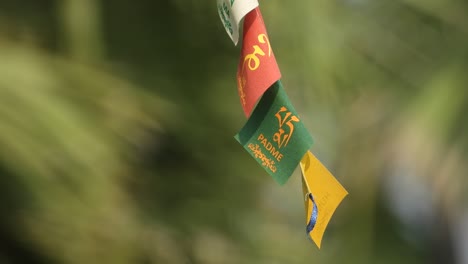 Tibetan-flag-in-wind---white