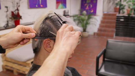 haircut and styling