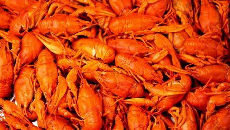 imágenes de cangrejo rojo cocido en primer plano girar en una bandeja