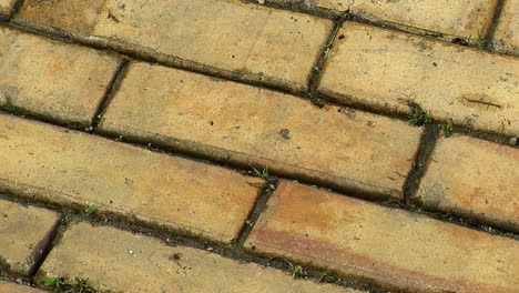 Slow-zoom-out-of-brickwork-on-ground