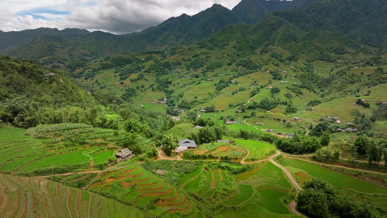 Terraced fields in layers green, stretch far below, a peaceful scene