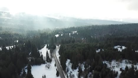 camino de invierno sobre el bosque