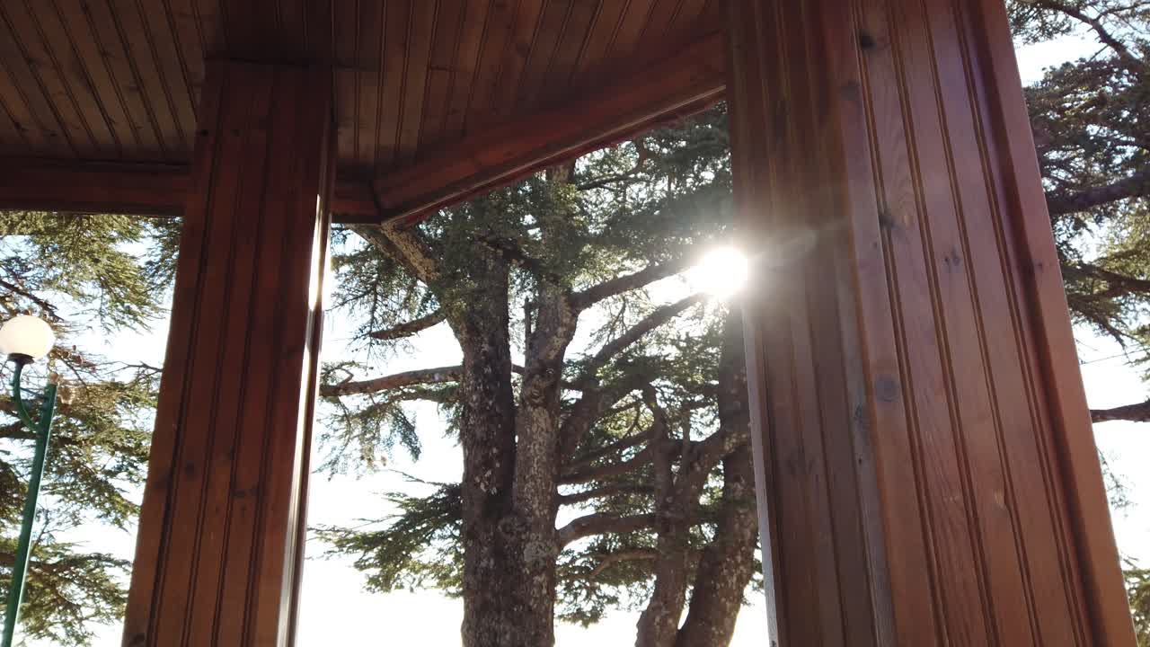 Sun shining through the trees in a wooden gazebo