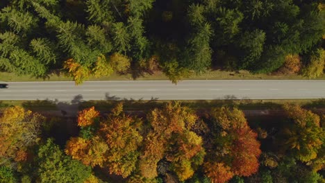 top view at a straight road with driving cars surrounded by an autumn colored forest at a wonderful day in fall