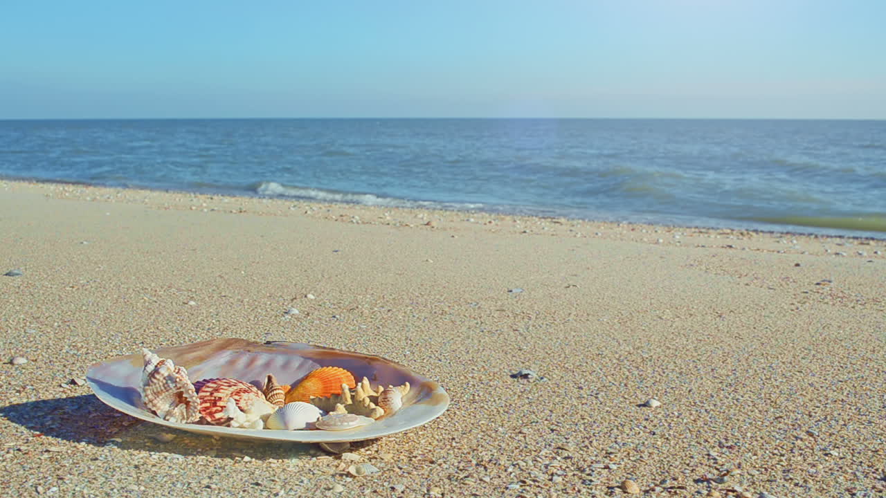 Cockleshells on sand against the background of waves. Shooting on the beach