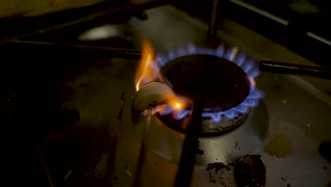 calentar el diente de ajo asado en la estufa de gas