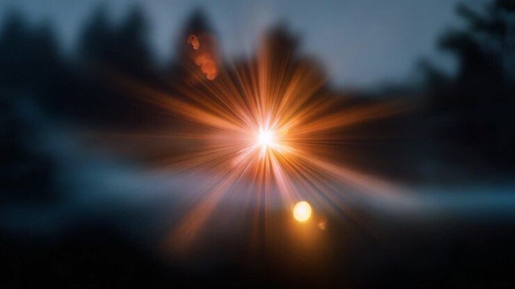 Dramatische lichtbundel verlicht een donker bos en creëert een prachtig visueel contrast met stralen en schaduwen voor een magische sfeer