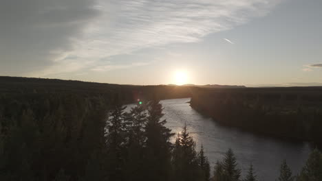 drone shot flying over a calm river in norway during golden hour in between green pine trees on a sunny day log