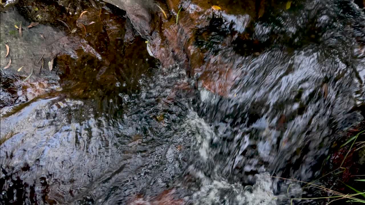 Acqua che scorre sulle rocce in un ruscello nel bosco