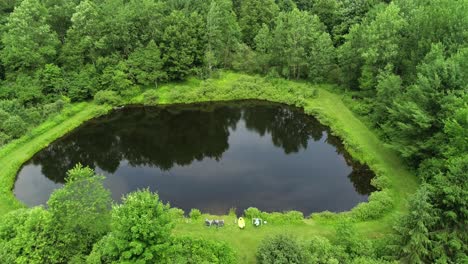 a drone peeps over the top of the trees to see a private fishing pond in the catskill mountains of new york