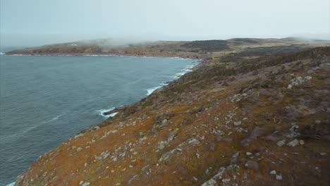 aerial view of rugged shoreline of newfoundland