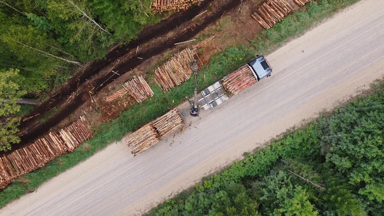 Slow aerial descent shows timber extraction dividing green forest in Latvia
