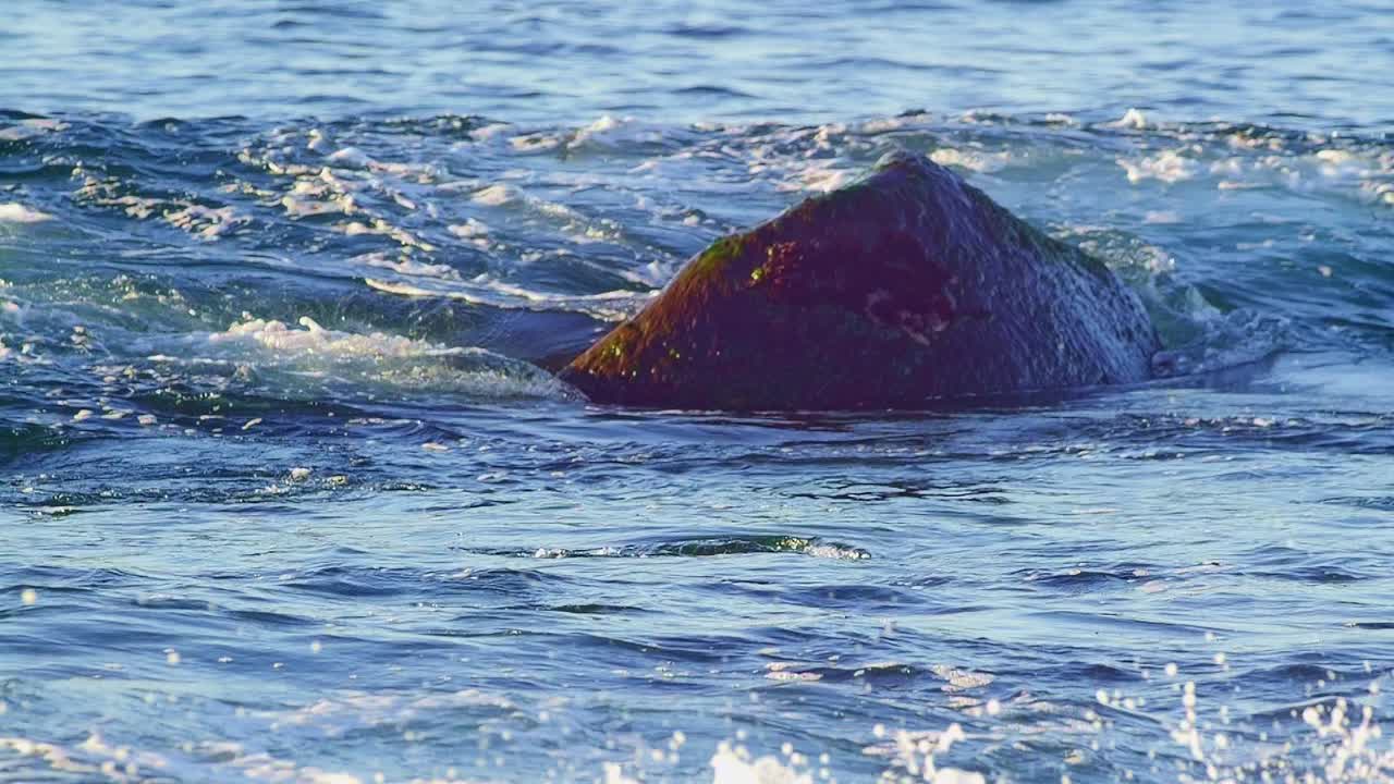 해가 비는 날 바위 위에 부히는 바다의 파도가 느린 속도로