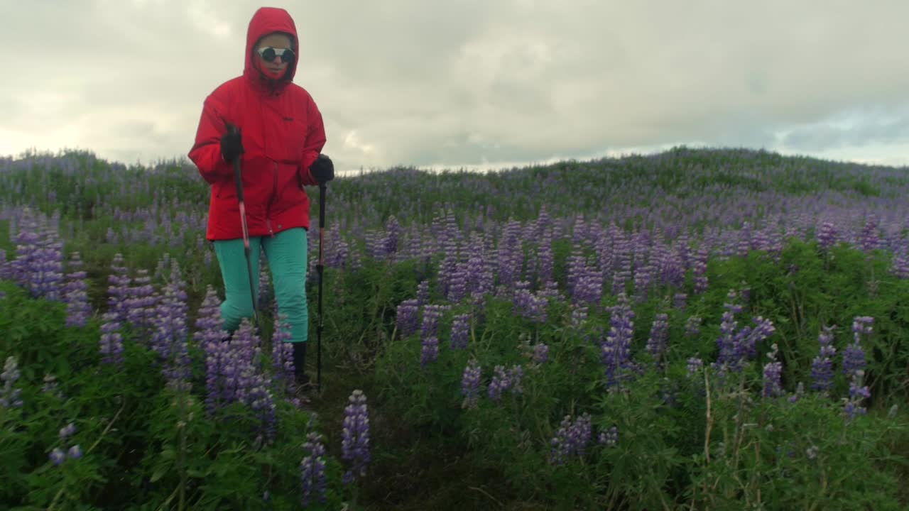 espectacular paisaje de islandia, persona haciendo senderismo en el sendero, cámara siguiendo el movimiento, seguimiento de la cámara - dolly en un estabilizador de cardán de steadicam