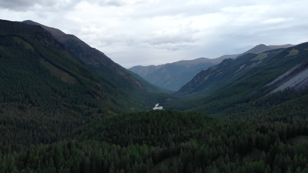 valle de montaña con bosque