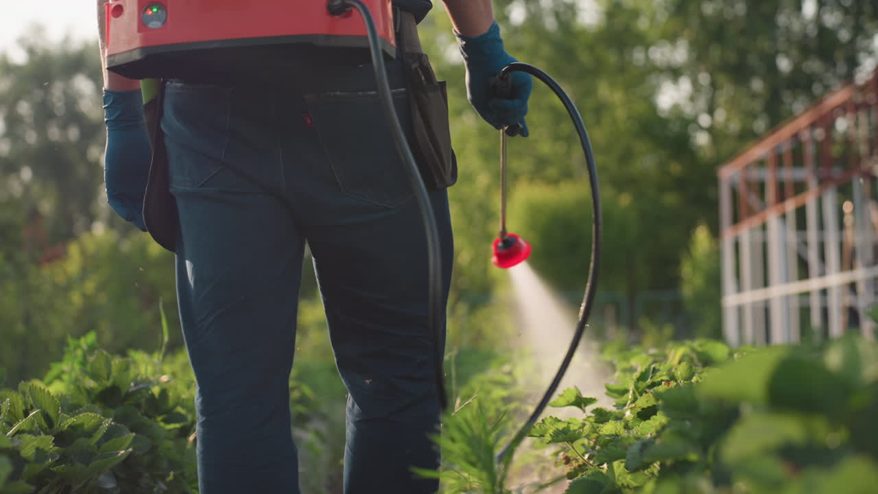 Rear view farmer wearing mask and gloves carrying red tank sprayer fogging crops on green field with sunlight filtering through trees, focused on pest control and plant protection