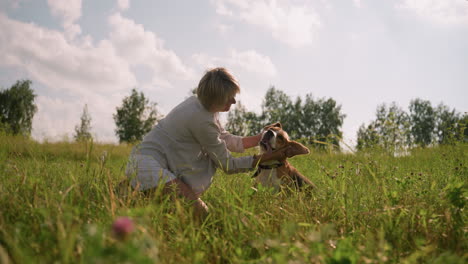 el dueño del perro en cuclillas en un campo cubierto de hierba frota cariñosamente la cabeza del perro mientras el perro lamia la boca felizmente, rodeado de exuberante vegetación, con una mariposa volando cerca en un día soleado