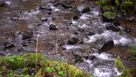 Wasser,-Das-Flussabwärts-Eines-Moosigen-Flusses-Fließt