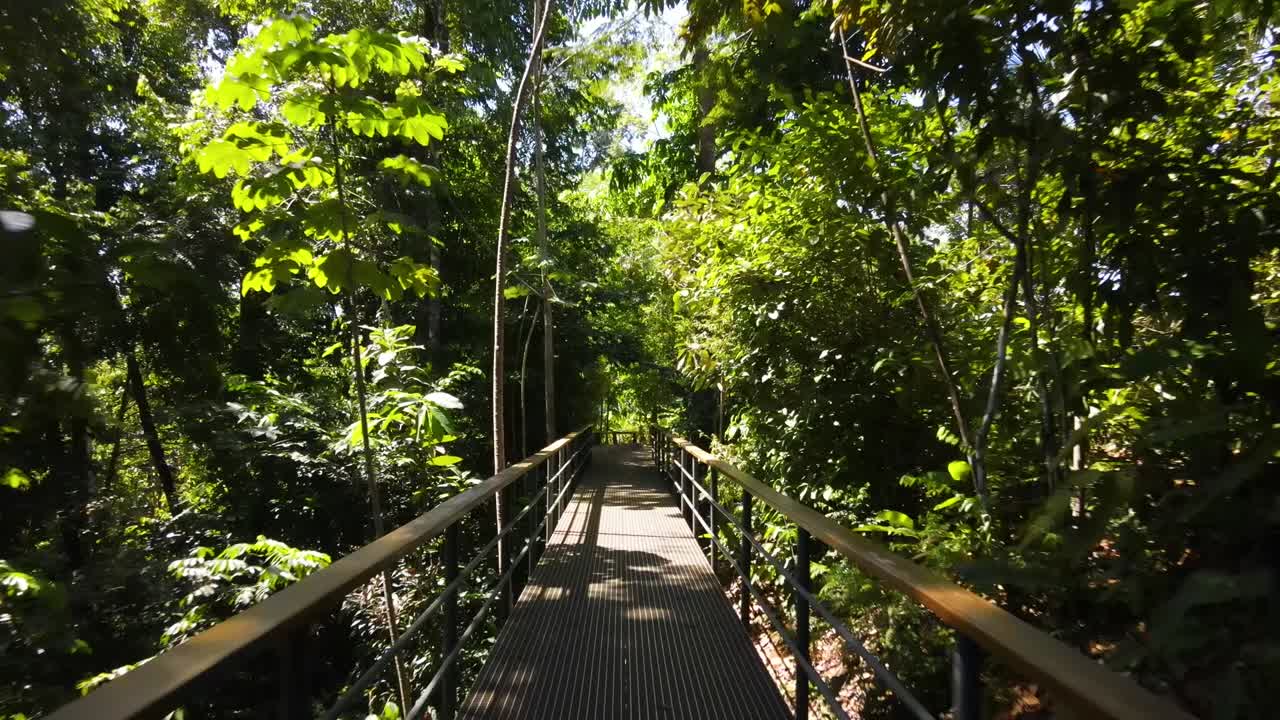 vista subjetiva avanzando hacia un puente en medio de un bosque tropical en la península de osa, costa rica