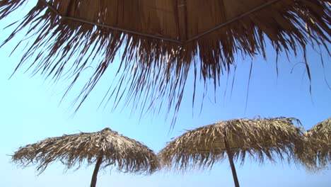 paraguas de bambú en una playa tropical en verano