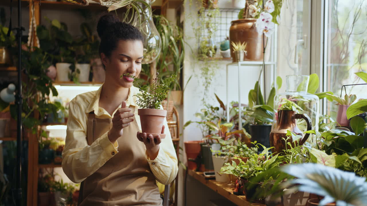 꽃 가게 에서 작은 식물 을 점검 하는 여자