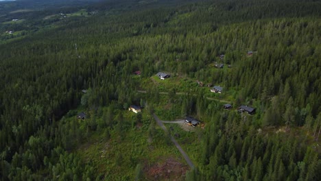 Dynamic-aerial-of-houses-surrounded-by-forest-in-Norway