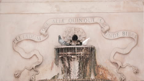 pigeons perching and leaving the weathered fountain of the 5 spouts in caldas da rainha