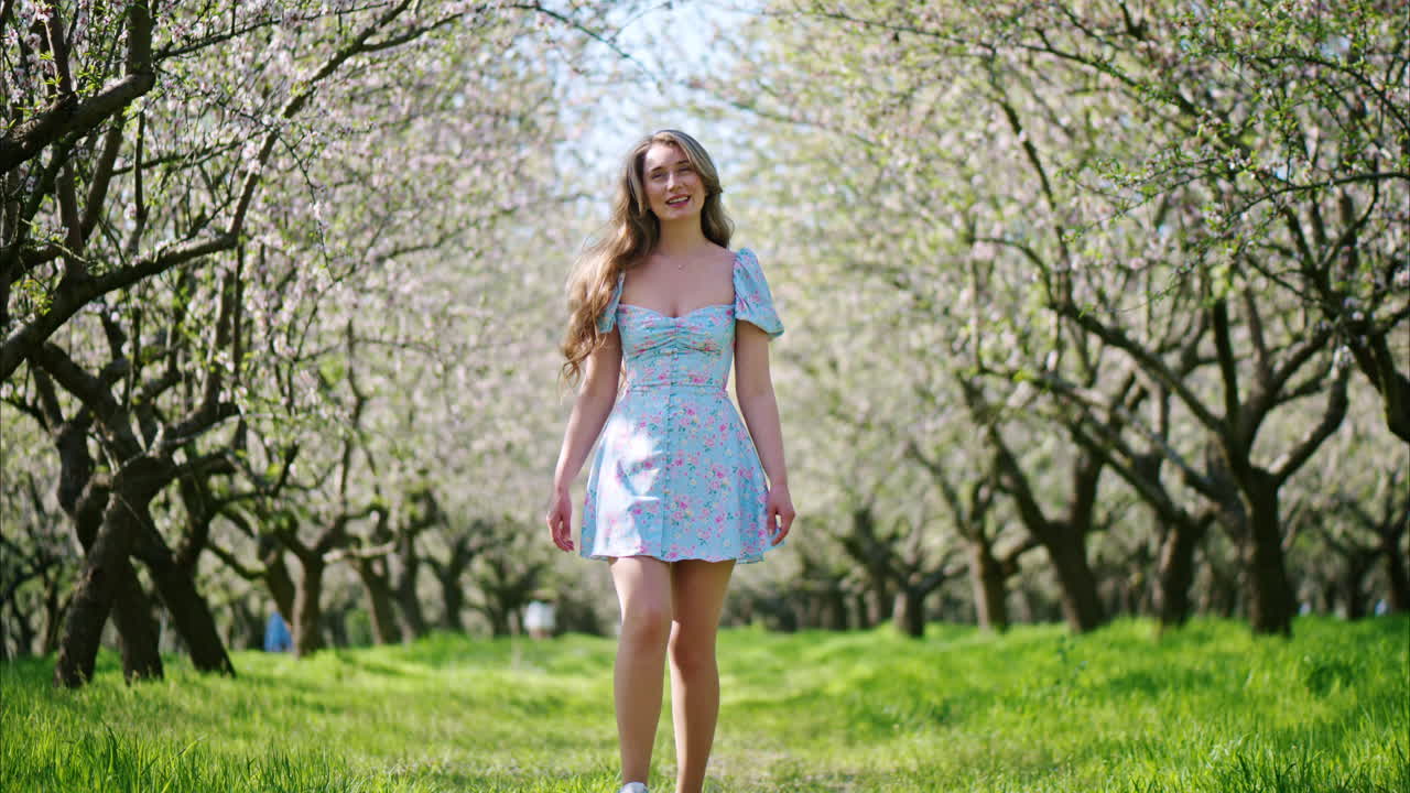 Brunette woman in a blue dress walking through a field of blooming almond trees
