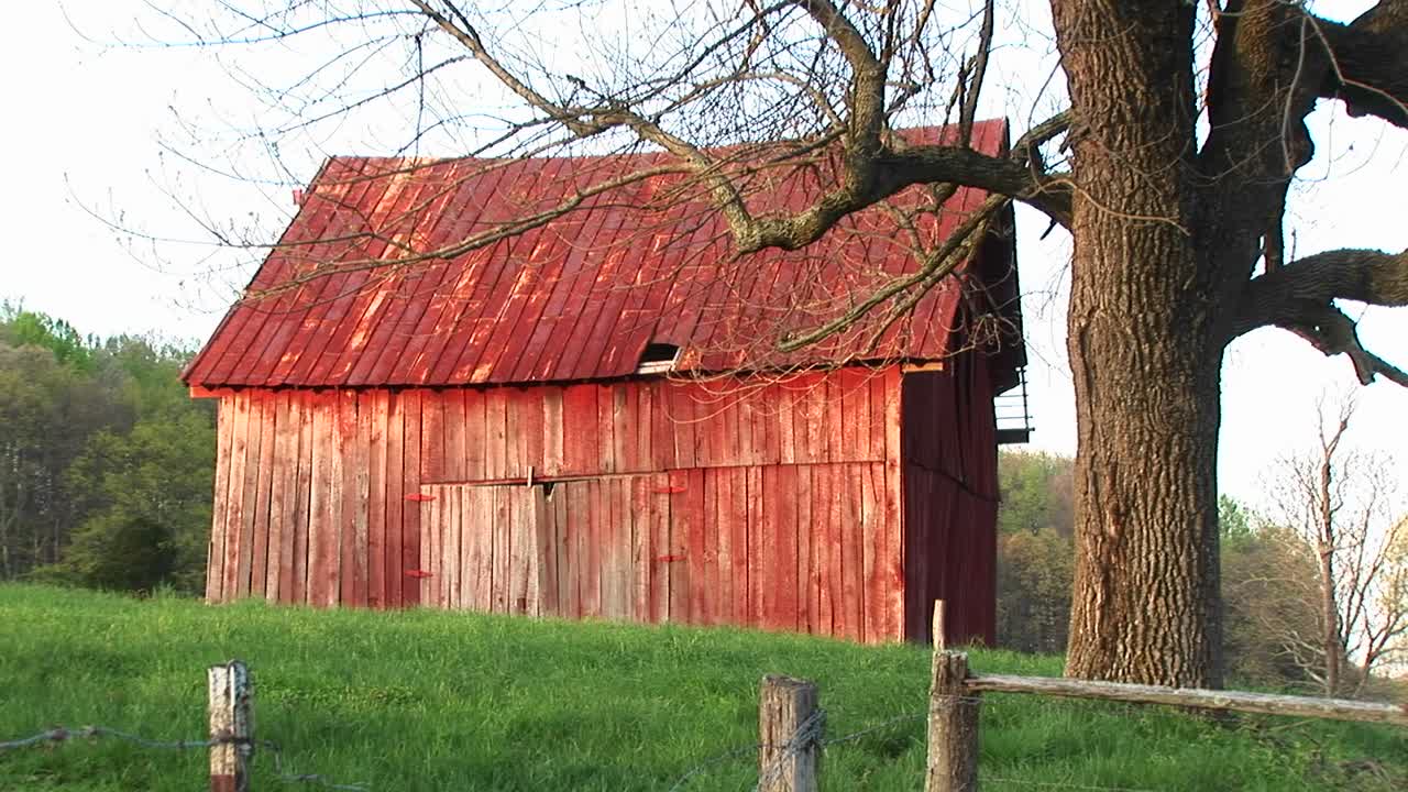 el techo rojo descolorido y el revestimiento de un antiguo granero reflejan el paso de la granja familiar y toda una era