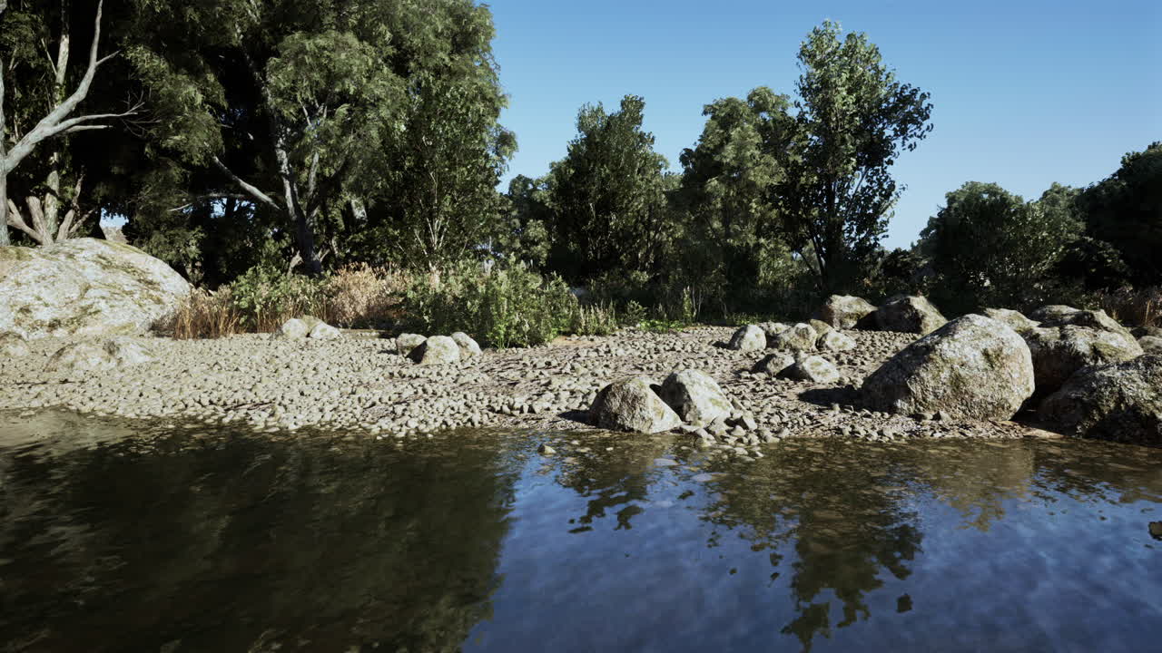 escena tranquila del río en un bosque exuberante