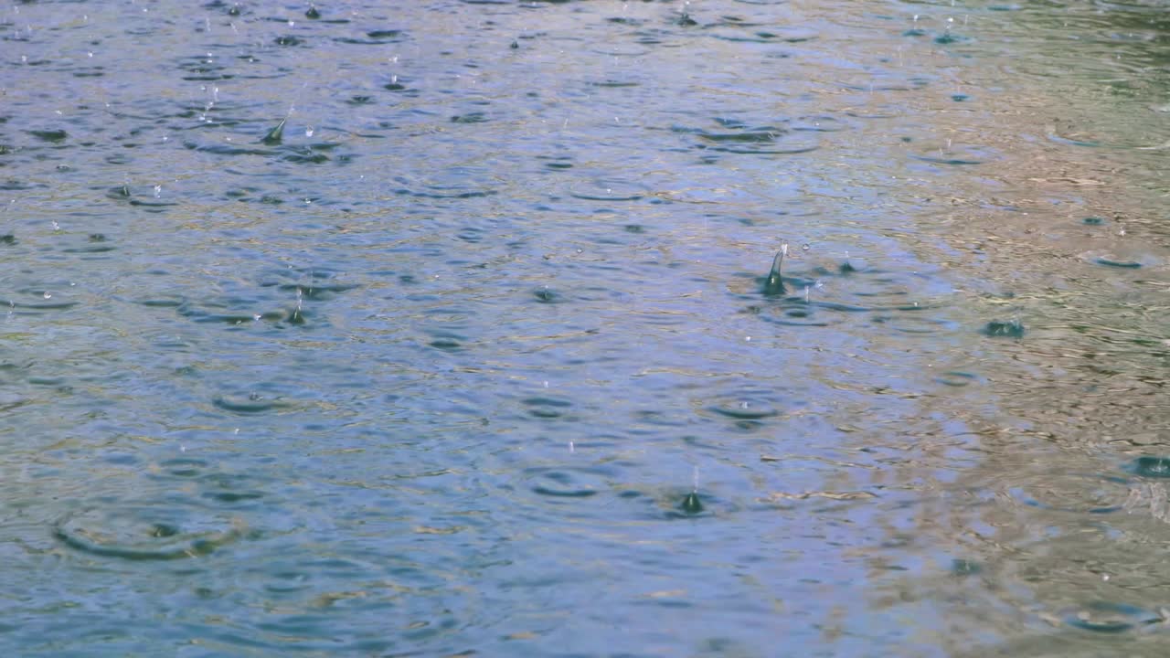 수영장, 연못, 물, 물결, 야외의 빛에 비가 떨어집니다.