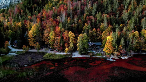 drone pull back view: cabin amidst lakeside autumn forest