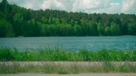 view of green forest and lakeshore summer natural landscape with turquoise lake and pine tree forest