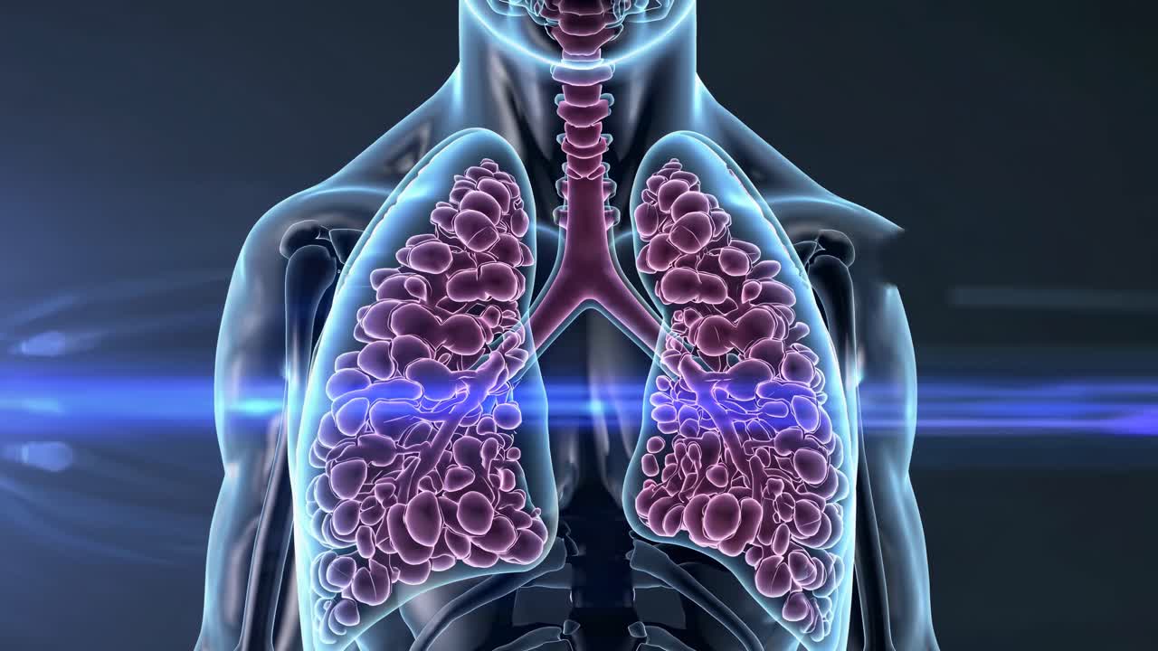 A 3D medical video illustration of human lungs and trachea, viewed from a front angle