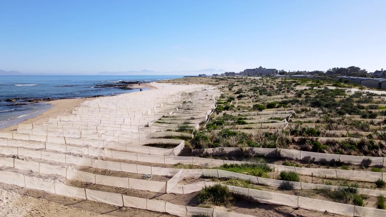 Projeto de reabilitação de dunas em Gordon's Bay usando redes para proteger a vegetação costeira da erosão eólica. Sobrevoo baixo de drone na costa.