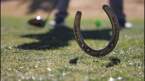 horseshoe on grass