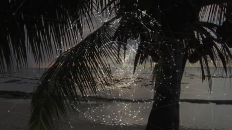 palm tree silhouette with digital network animation over ocean at sunset