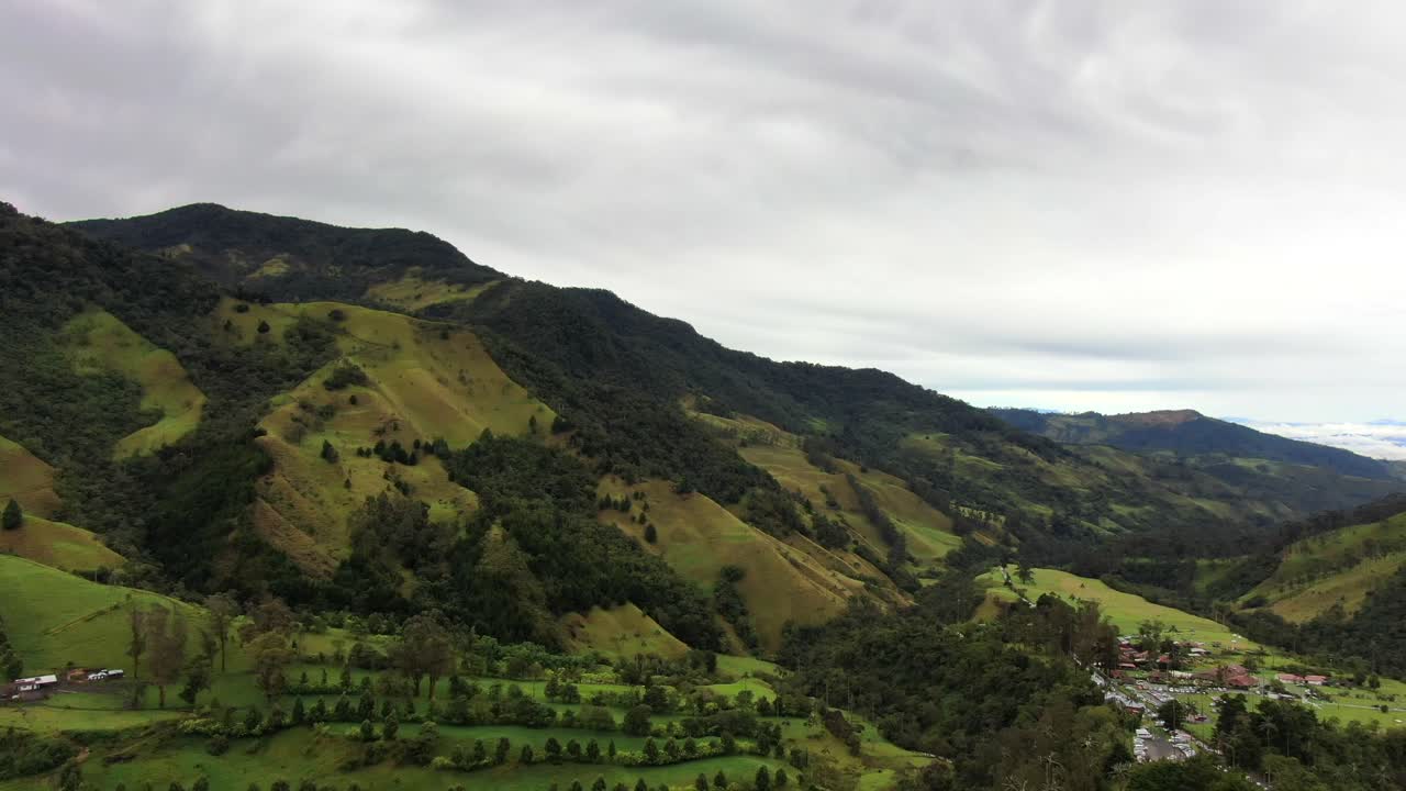 drones volando sobre palmeras en un paisaje natural exótico, sudamérica