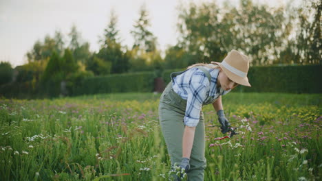 woman gardening in a flower field