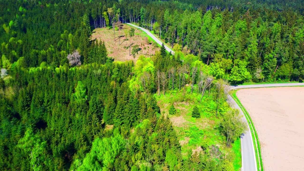 울창한 숲과 은 길을 가로질러 평온한 공중 여행