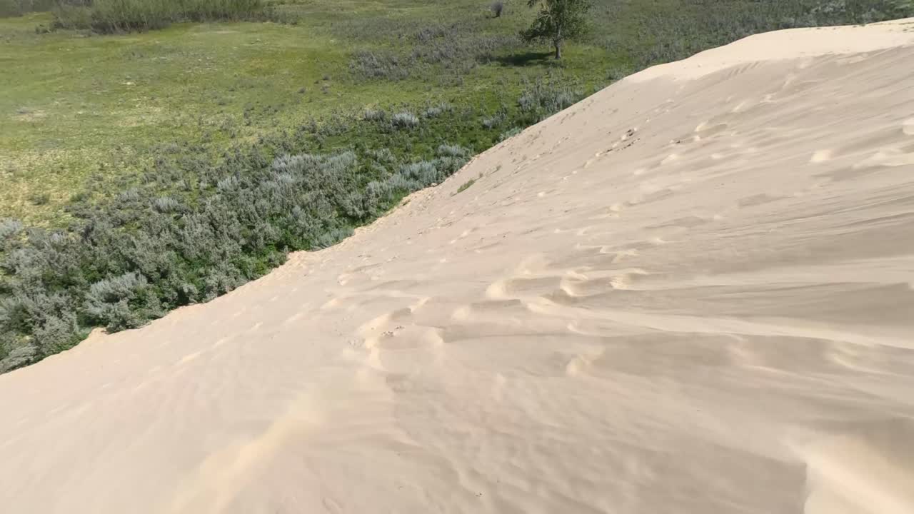 화창한 날 앨버타 모래 언덕에서 바람에 날리는 모래