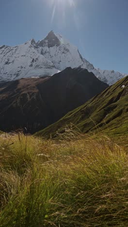 vertical nepal mountains scenery, large high altitude snowcapped himalayas mountains landscape, vertical video for social media instagram reels and tiktok of fishtail mountain summit in snow