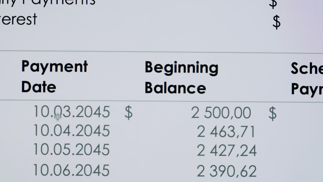 Scrolling Financial Payment Schedule and Balances on a Computer Screen